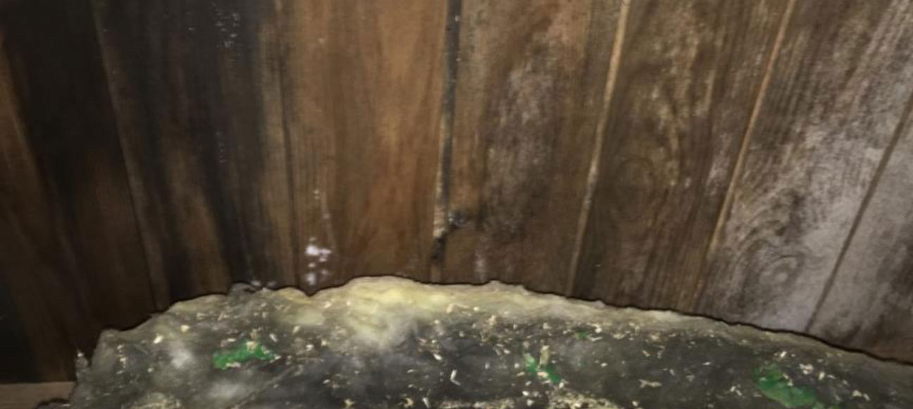 kosteusvaurion tunnistaminen_merkit_polygon.jpg