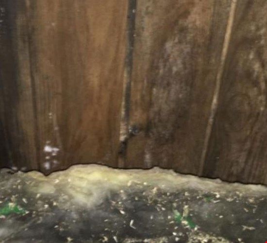 Tunnista kosteusvaurio näistä merkeistä.