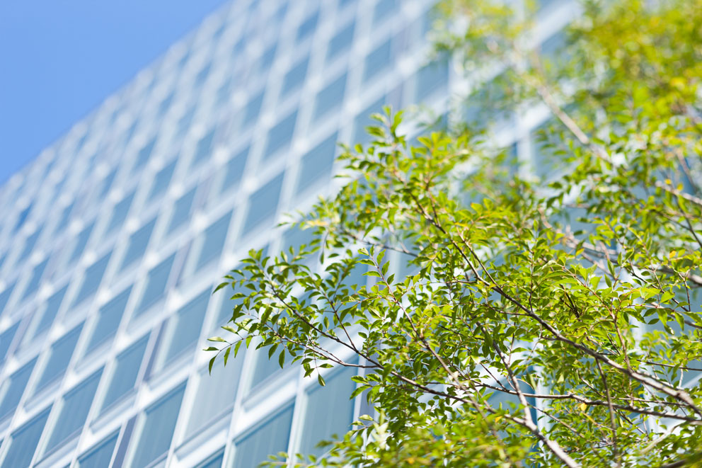 palveluidemme avulla säästöjä kustannuksissa ja hiilidioksidipäästöissä_polygon