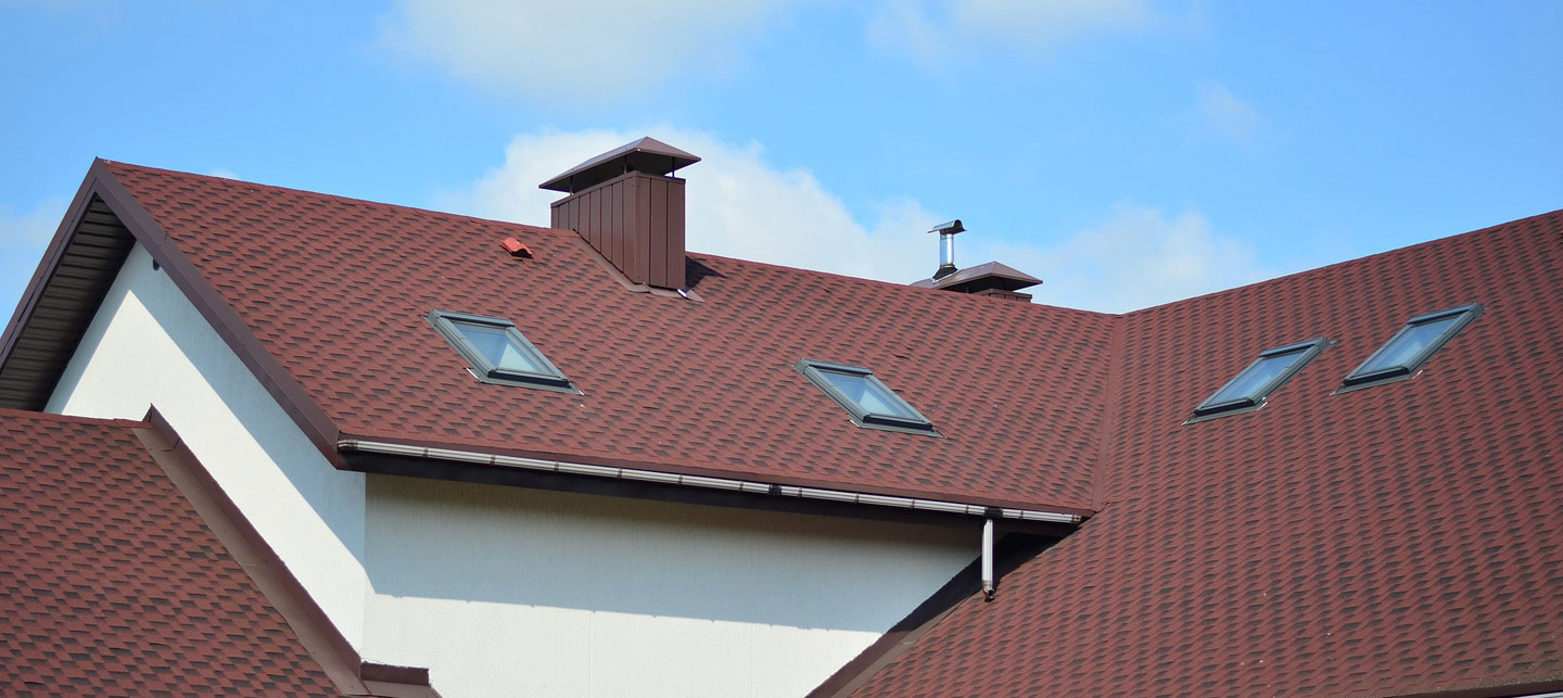 leuto talvi on uhka katolle_polygon