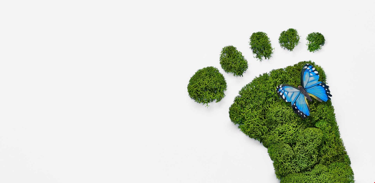 Polygonin päästövähennystavoitteille hyväksyntä Science Based Targets -aloitteessa