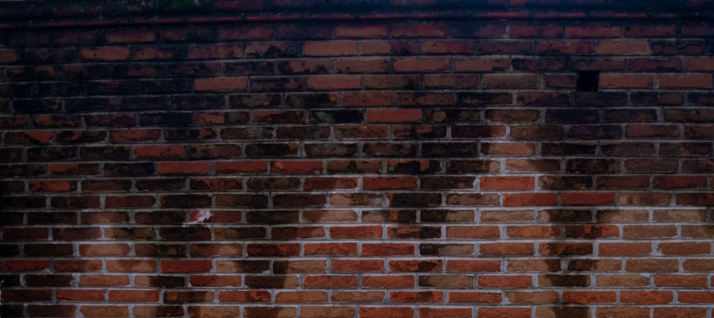 vesivahinko kastunut sein&auml; kuivaus polygon