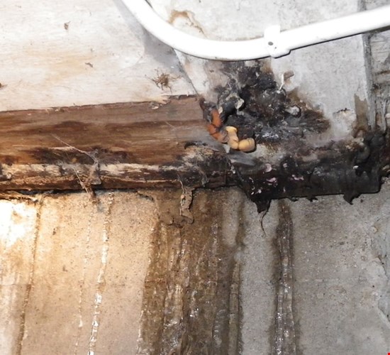 Tietoa kosteusvaurioista ja kosteudesta.