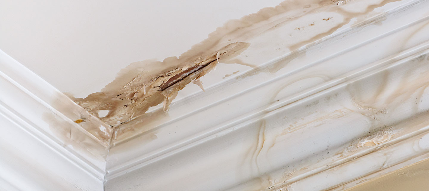 kosteusvaurioep&auml;ily ep&auml;ilet kosteusvauriota polygon