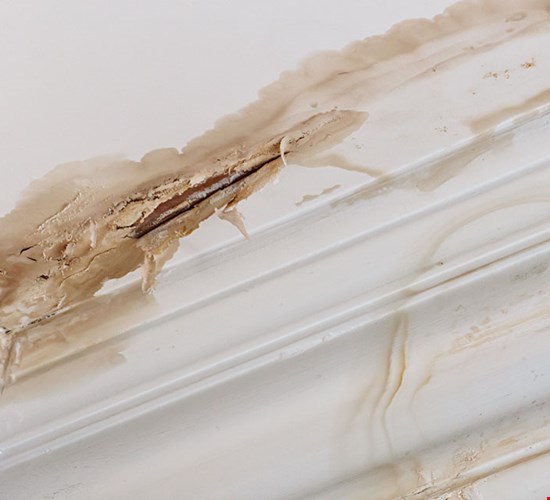 Kosteusvaurioepäily? Toimi näin, kun epäilet kosteusvauriota,