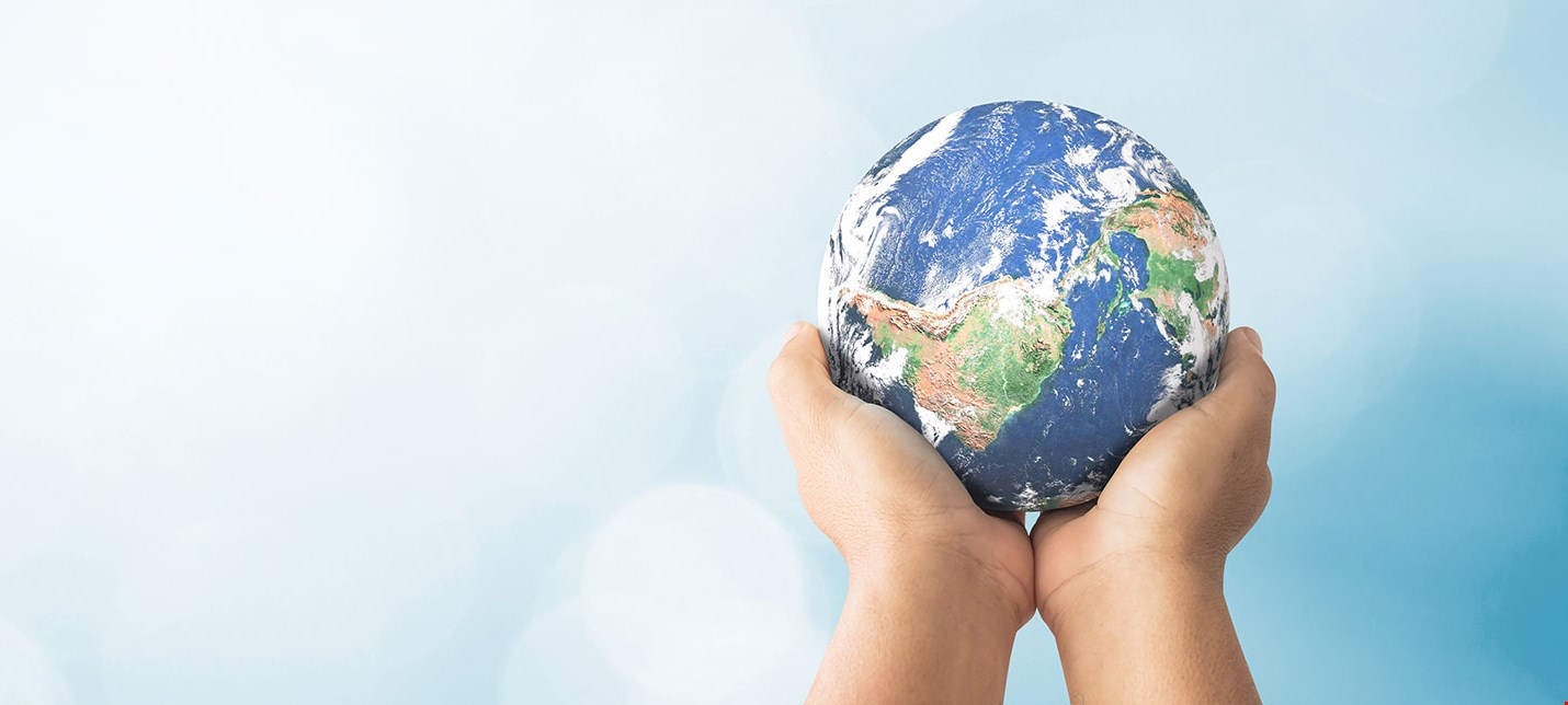 La Sostenibilità nel Settore Assicurativo: Tendenze e Innovazioni nel 2025