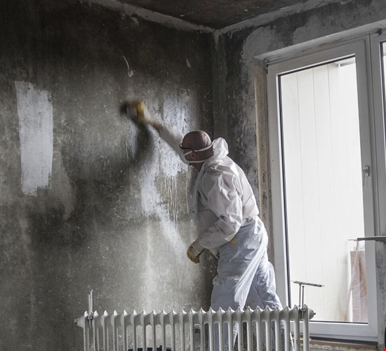 När olyckan är framme startar en skadeprocess hos ditt försäkringsbolag. Men vad händer egentligen efter anmälan – vem gör vad? Här förklarar vi ansvarsfördelningen mellan dig, försäkringsbolaget och Polygon.