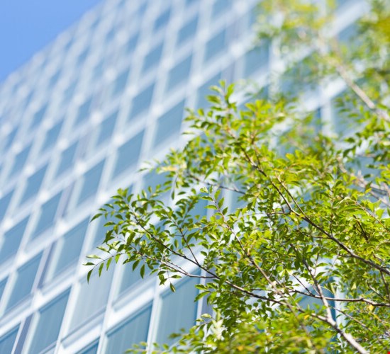 Polygons miljötjänster - miljöcertifiering, miljöinventering, miljösamordning